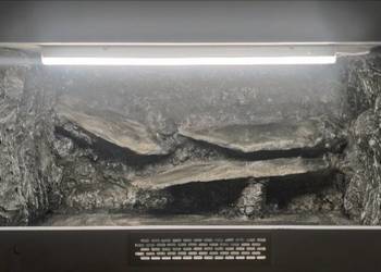 Okazja terrarium dla żółwia greckiego gekona lamparciego