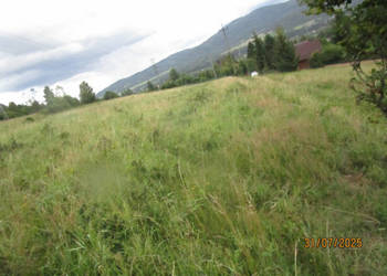 syndyk sprzeda działkę w Milówce