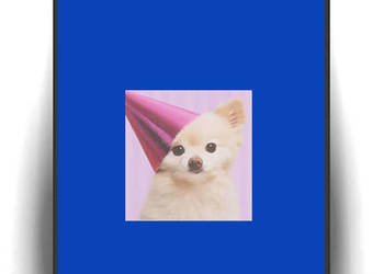 pies obrazek A4, cziłała plakat 21x30, chihuahua  plakat A4