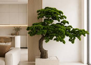 Sztuczne drzewko bonsai w doniczce jak żywe PREMIUM HIT duże 200 cm