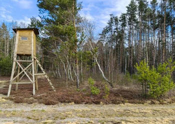 Las sosnowy 50-letni+pastwiska, 9111 m², Pustelnik