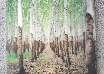 Talkdemonic - Beat Romantic. CD awangarda, folktronica