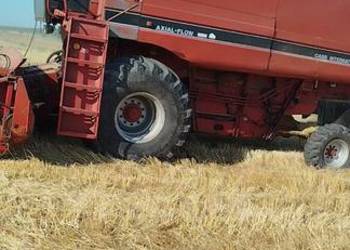 Kombajn zbożowy rotorowy Case 1640 Axial Flow