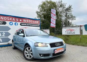 Audi A3 8p 1.9 TDI / Alufelgi / Klimatyzacja / Alufelgi / Grzane fotele//Za