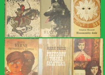 Mały Bizon/Biały Kieł / Verne / Nienacki / Twain