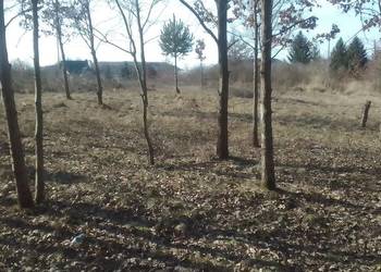 Sprzedam działkę budowlaną