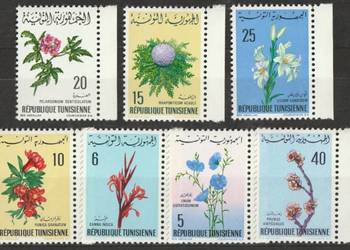 TUNEZJA - FLORA KWIATY - CZYSTE **