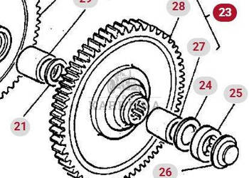 Massey Ferguson 3690 Koło Zębate Zębatka Zębnik CZĘŚCI 3387509M91 1610247M1