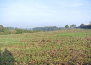 Ogłoszenie grunt 1230m2 Sobków