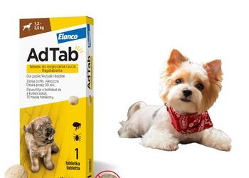 Adtab tabletka na pchły kleszcze dla psa 1,3-2,5kg + woreczki gratis !