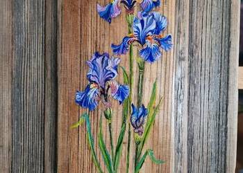 Obraz "Irysy"na zabytowej  okiennice