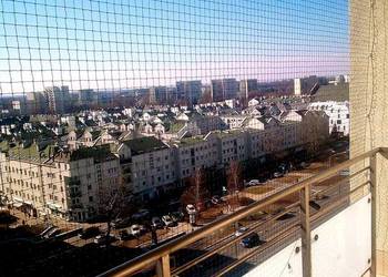 Siatki zabezpieczające przed ptakami Warszawa Montaż Siatek Przeciw Ptakom