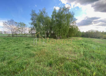 Działka 1744 m2 w Rogowie 17 km od Stargardu
