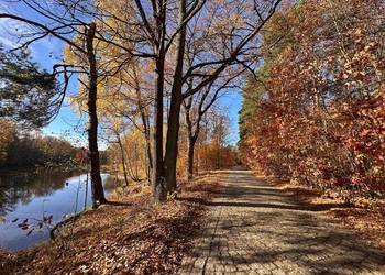 Działka budowlana kolorowe jeziorka