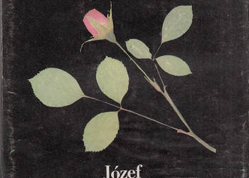 (02349) ŻYWOT SIENKIEWICZA – JÓZEF SZCZUBLEWSKI