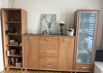 Meble Syriusz BRW 3+1 gratis