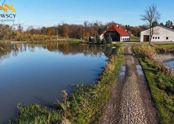 Wyjątkowy dom ze stawem – Wysoka