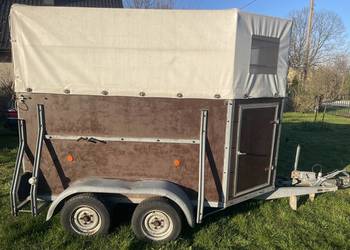 Przyczepa do przewozu zwierząt DMC 2000 kg