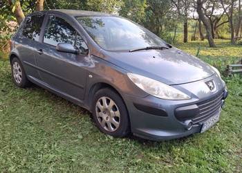 Peugeot 307  1.4 2005