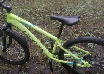 Rower Rockrider st 100