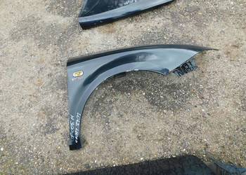 leon II błotnik kolor LO4Z nr A3008 WYSYŁKA