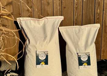 MAKUCH / z różnych nasion / DOSTAWA