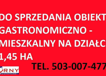 Oferta sprzedaży lokalu Wola Krzysztoporska 351m2