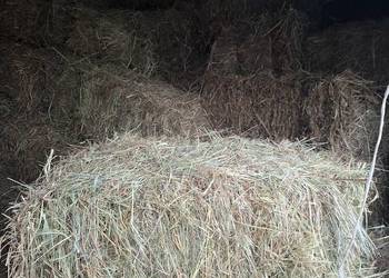 Sprzedam siano kostka