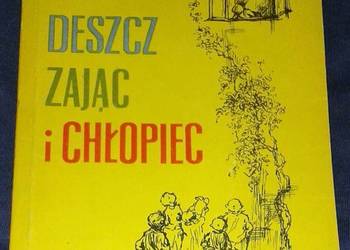 Deszcz, zając i chłopiec - Zofia Woźnicka