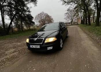 Skoda Octavia Zadbana Warto