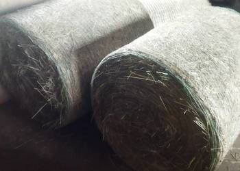 Sprzedam owies w big begu ,big bag 450kg