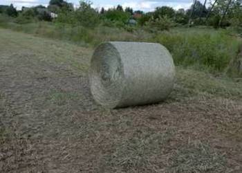 Sprzedam siano dla krow koni, sianokiszonka.