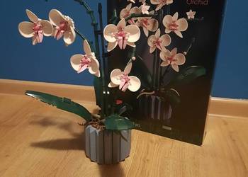 LEGO Orchidea