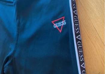 Leginsy guess