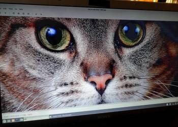 Matryca 18,4" LTN184KT01 (S02) - SONY VGN-AW11M (PCG-8131M)