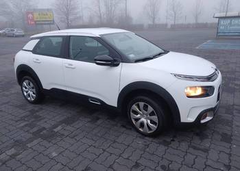 Citroën C4 Cactus  2019r. 32710 km Pierwszy właściciel. Salon Polska