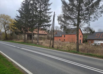 Działka siedliskowa 4200m2 we wsi Niedźwiednik 57-224 w rejonie Ziębic