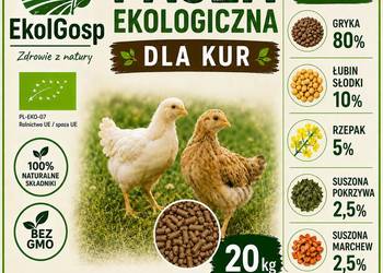 Pasza dla kur 20kg ekologiczna