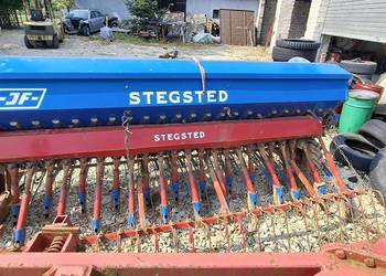 Ted Siewnik Stegsted 3m nie poznaniak amazone