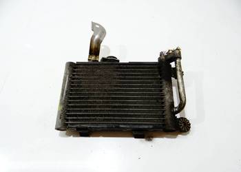 CHŁODNICA OLEJU BMW X3 E83 LCI N52B30A 3448627