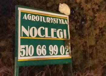 Agroturystyka noclegi Hedwiżyn Biłgoraj