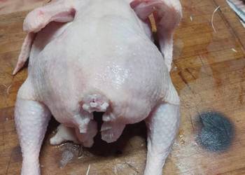 Blojlerki z hodowli państwisko