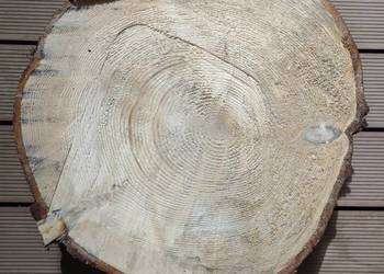 Jodła zwyczajna - plaster. Świeży, do obróbki stolarskiej