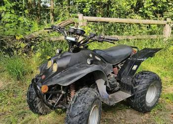 Quad Jeżdżący  możliwość zakupu z przyczepką