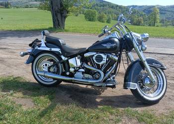 Harley Davidson Heritage Softail evo FLSTN ," nostalgia"