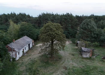 Wyjątkowe siedlisko 5,7 ha z własnym lasem Jadwichna, poddębicki