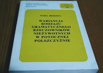 Wariancja rodzaju gramatycznego rzeczowników nieżywotnych w potocz Brzezina