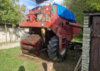 Bizon w całości na czesci