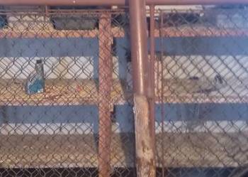 Ogrodzenie brama siatka słupki drut