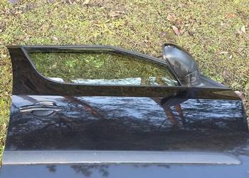 Drzwi Prawe prawy przód Skoda ROOMSTER 9910